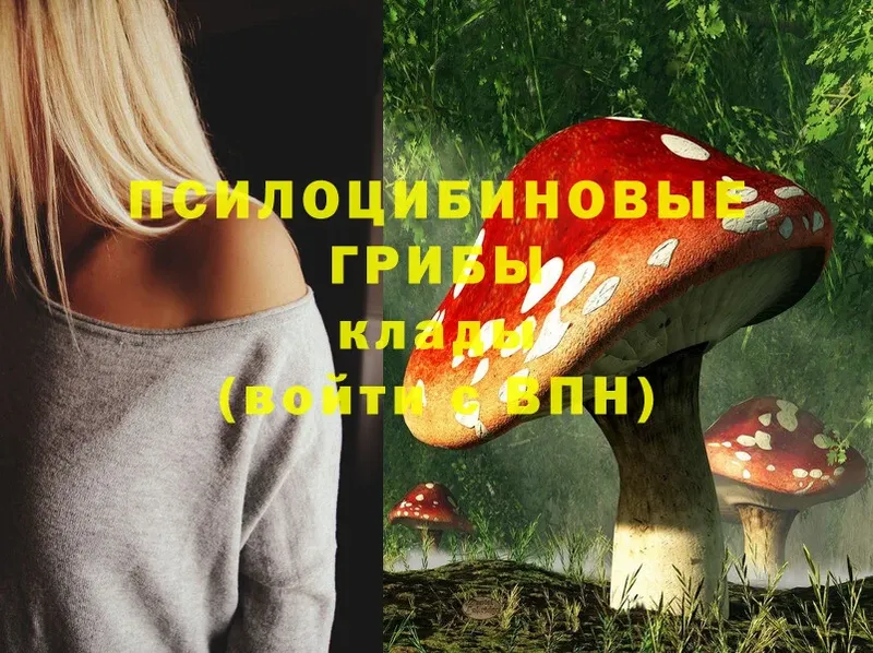 Псилоцибиновые грибы Psilocybe  Кораблино 